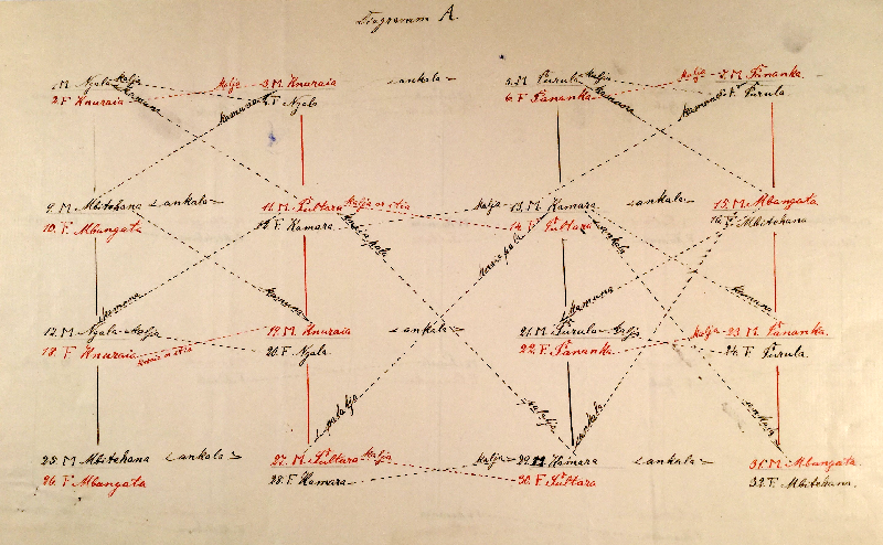Arrernte kinship diagram produced by Otto Siebert and Carl Strehlow (Museum Victoria, XM 381).